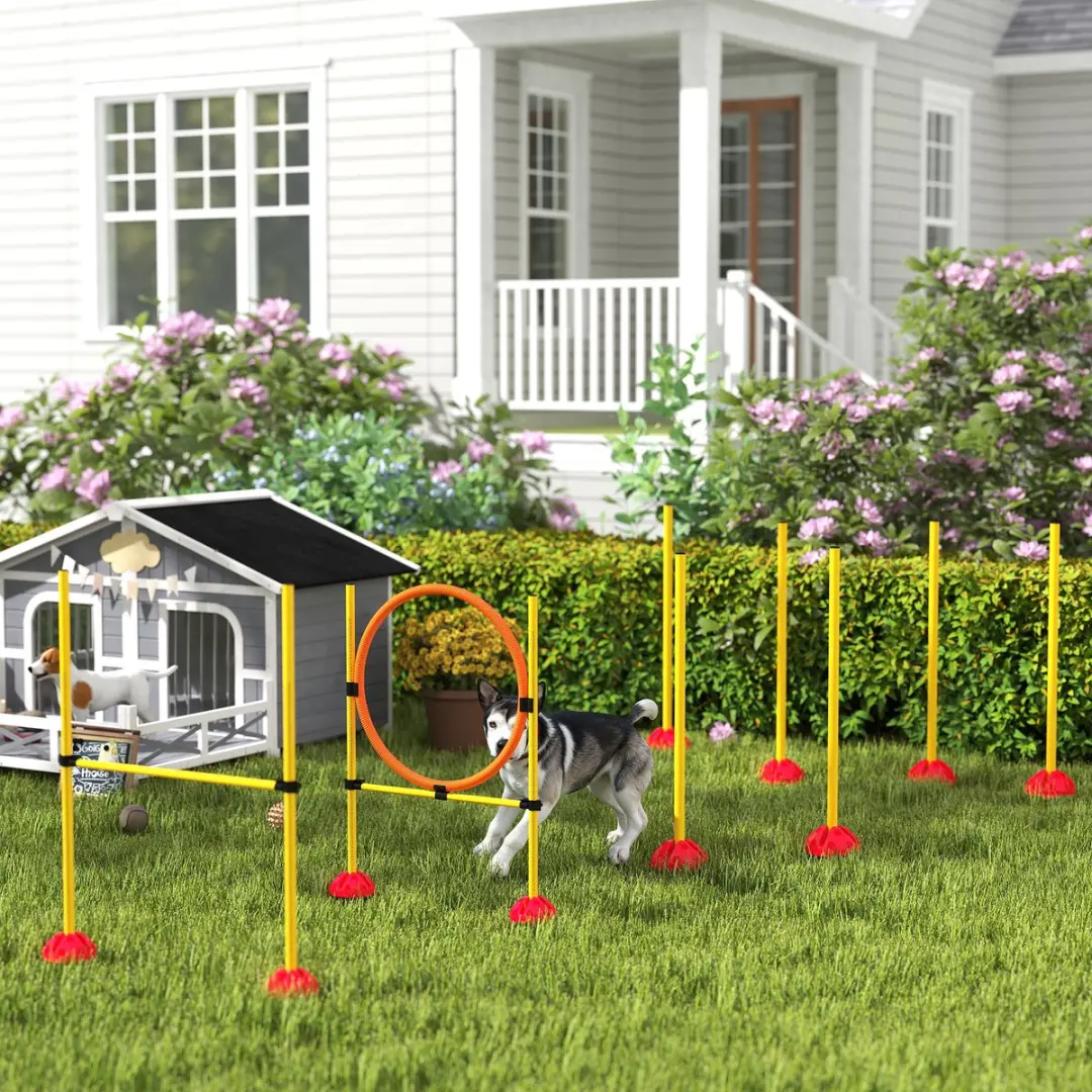 Pawhut Agility Set Honden - 3-delig - Gelb