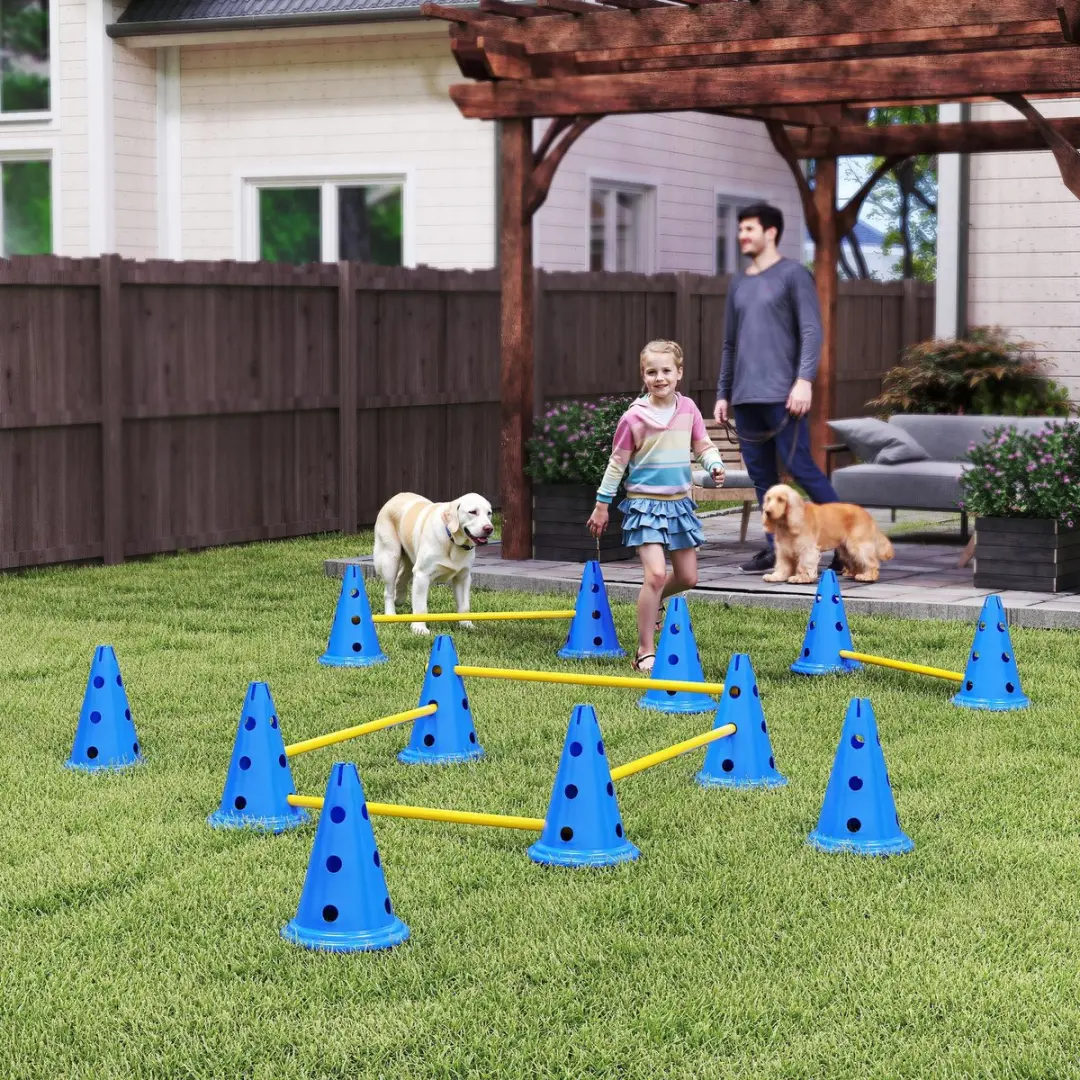 Pawhut Honden Agilityset 31-delig - Blauw/Geel