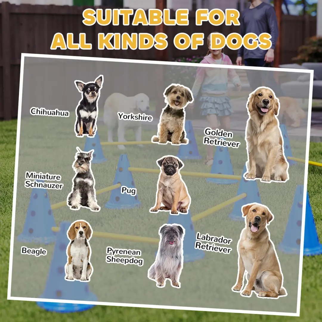 Pawhut Honden Agilityset 31-delig - Blauw/Geel