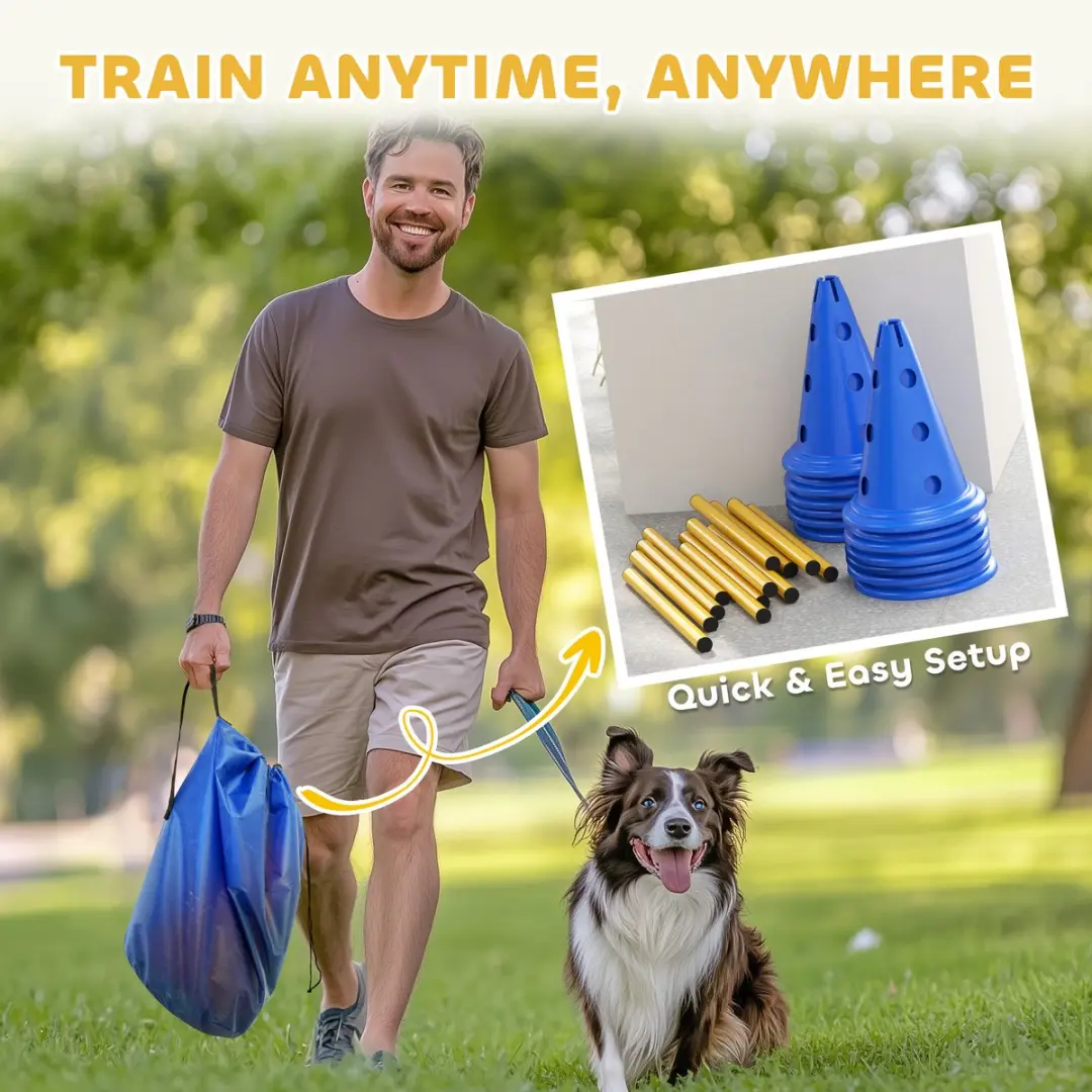 Pawhut Honden Agilityset 31-delig - Blauw/Geel
