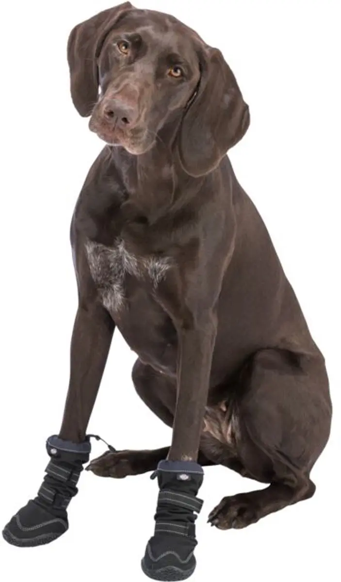 Trixie Walker Active Hondenschoenen L - Zwart
