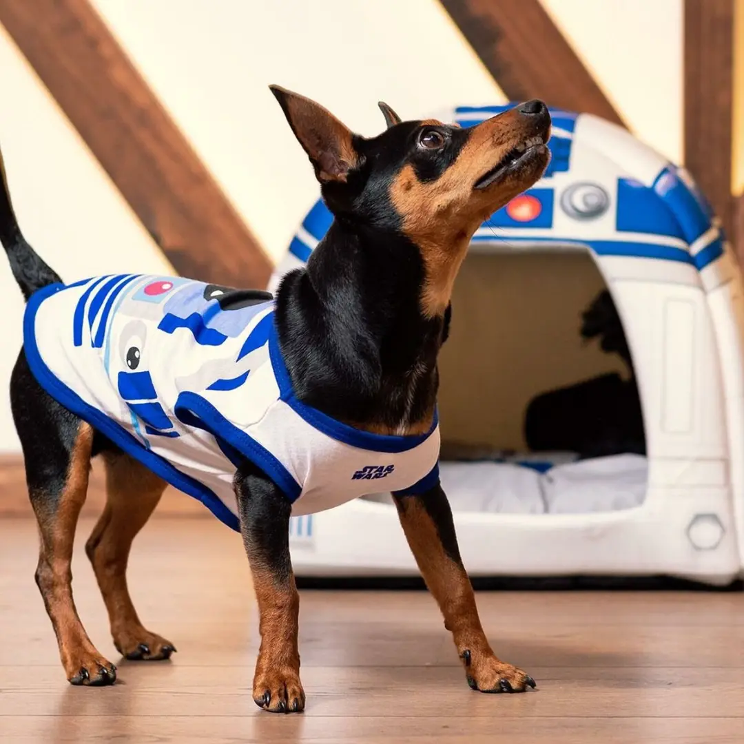 Star Wars Honden T-Shirt XXS - 22cm - Multi Colour