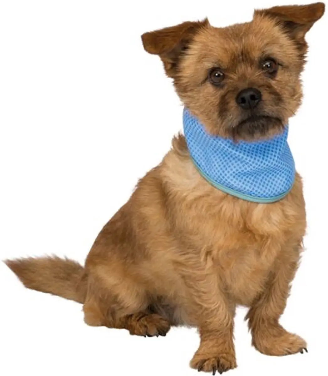 Trixie Koel Bandana - S - Blauw - afbeelding 5 van 6