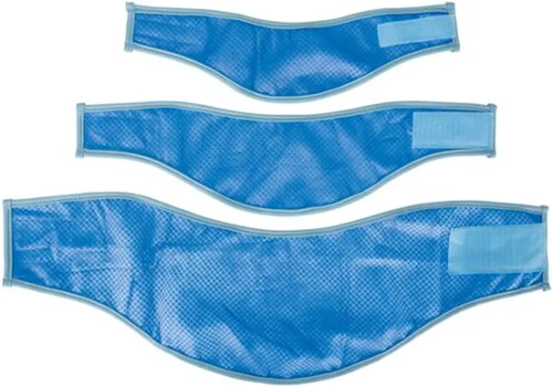 Trixie Koel Bandana - S - Blauw - afbeelding 2 van 6
