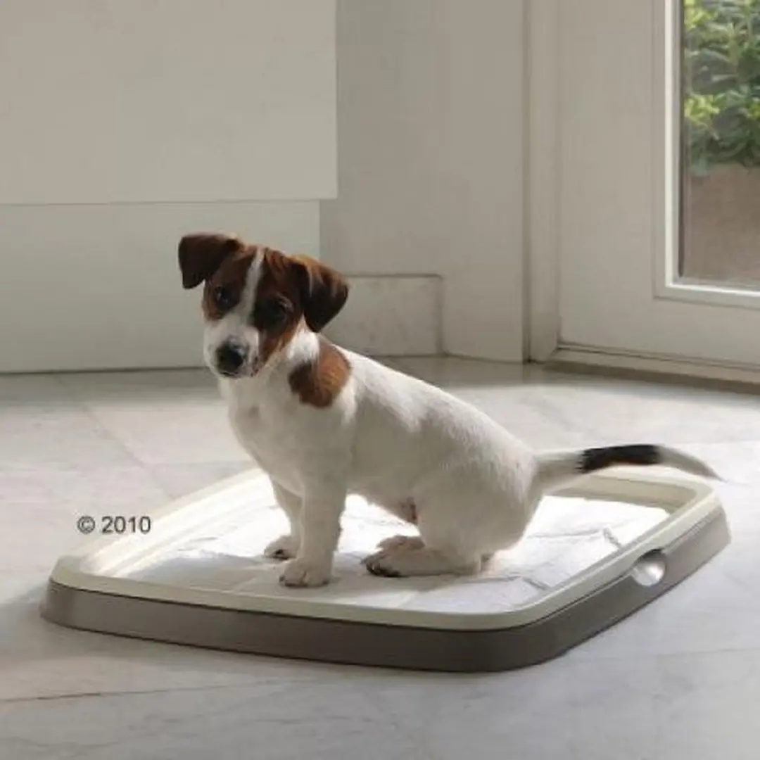 Savic Puppy Trainer Starterkit Medium - 450x300mm - Grijs