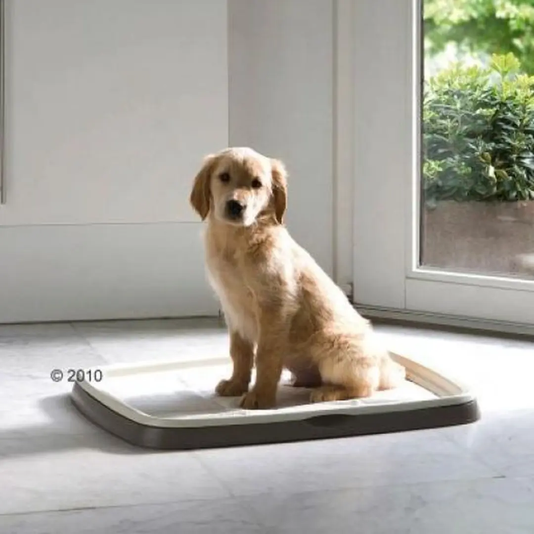 Savic Puppy Trainer Starterkit Medium - 450x300mm - Grijs - afbeelding 6 van 6
