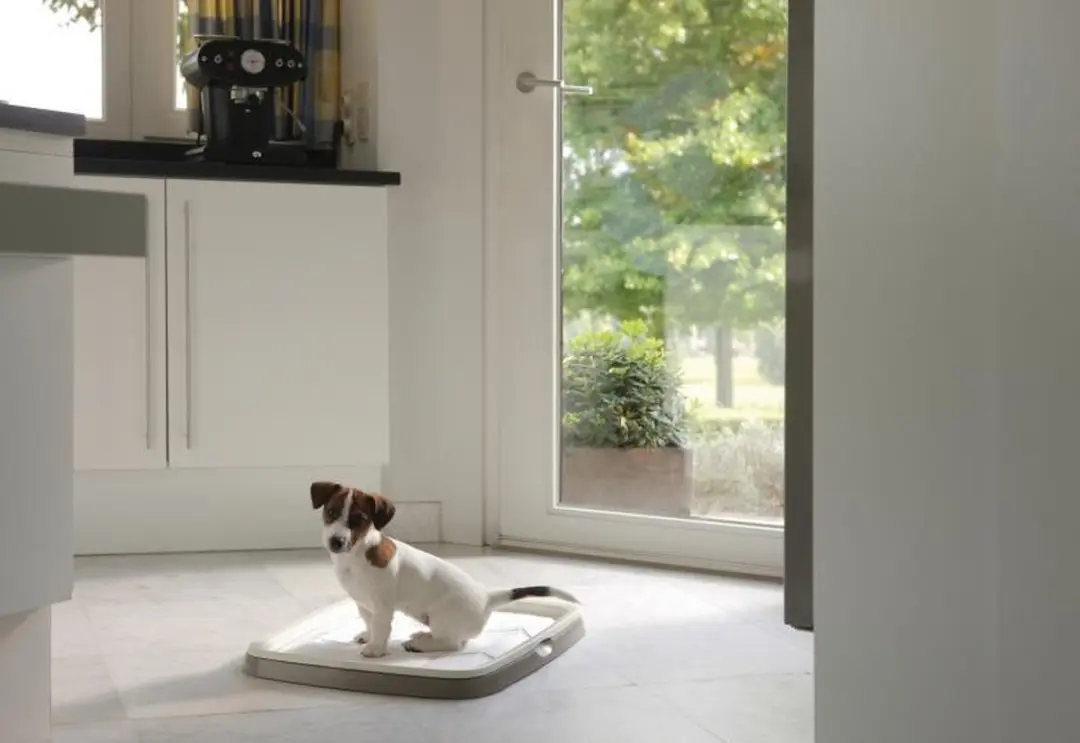Savic Puppy Trainer Starterkit Medium