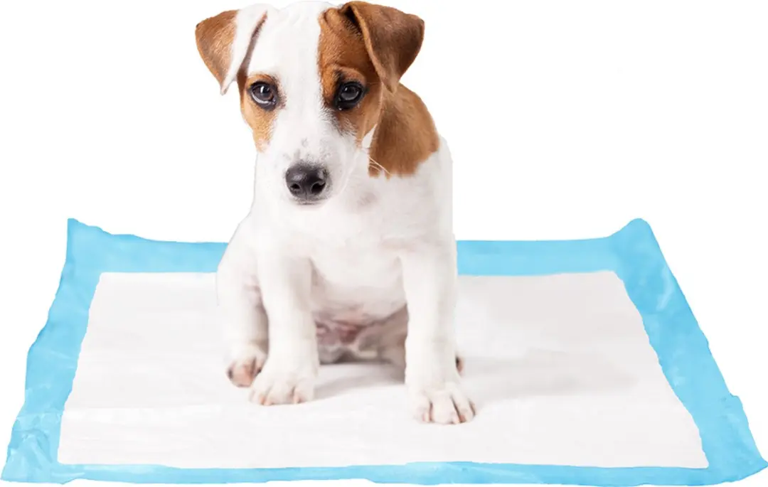 Duvo P-Pad Puppy Trainer Large - 30 Stuks