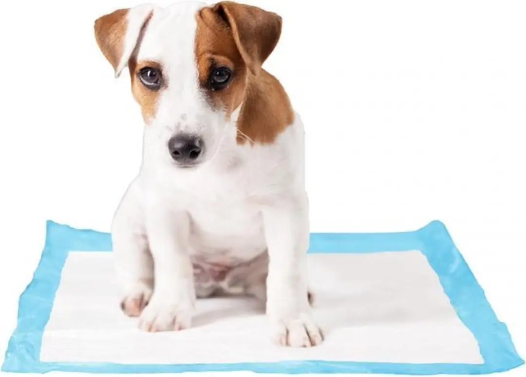 Duvo P-Pad Puppy Trainer Large
