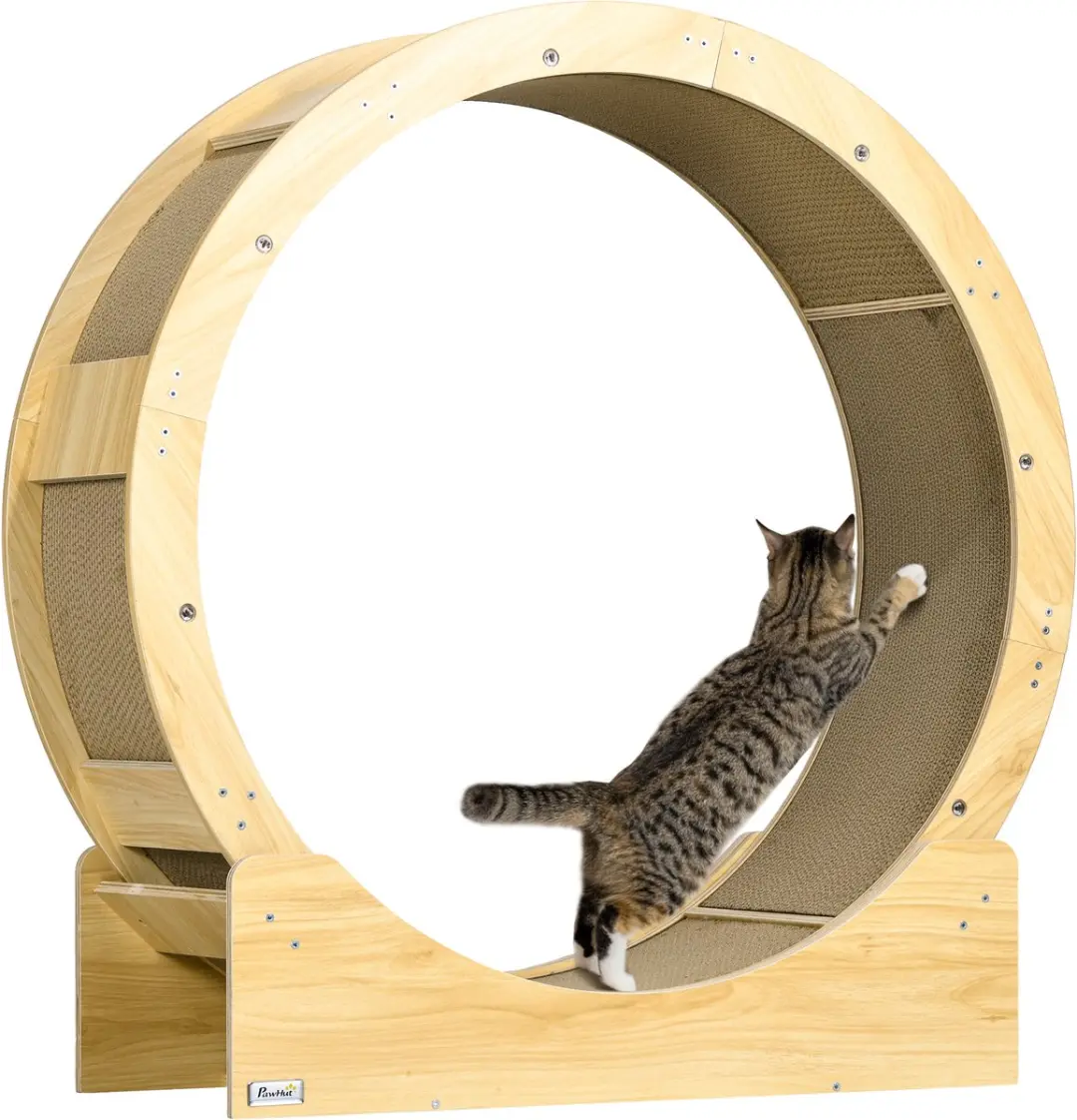 Pawhut Katzenlaufrad 91cm