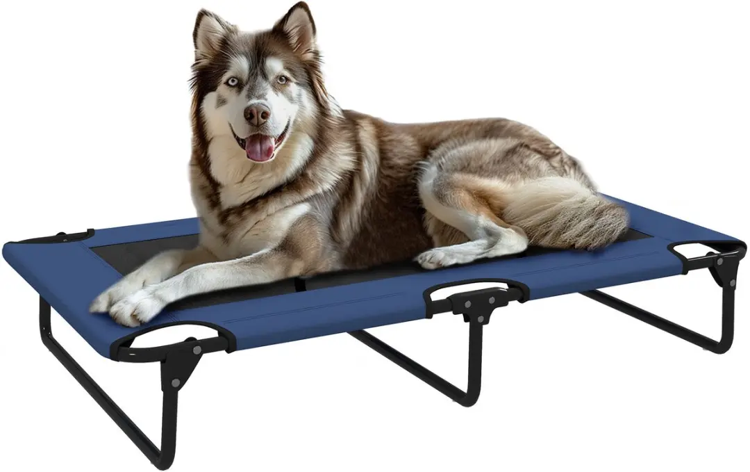 Pawhut Verhoogd Hondenbed 107x61x20cm