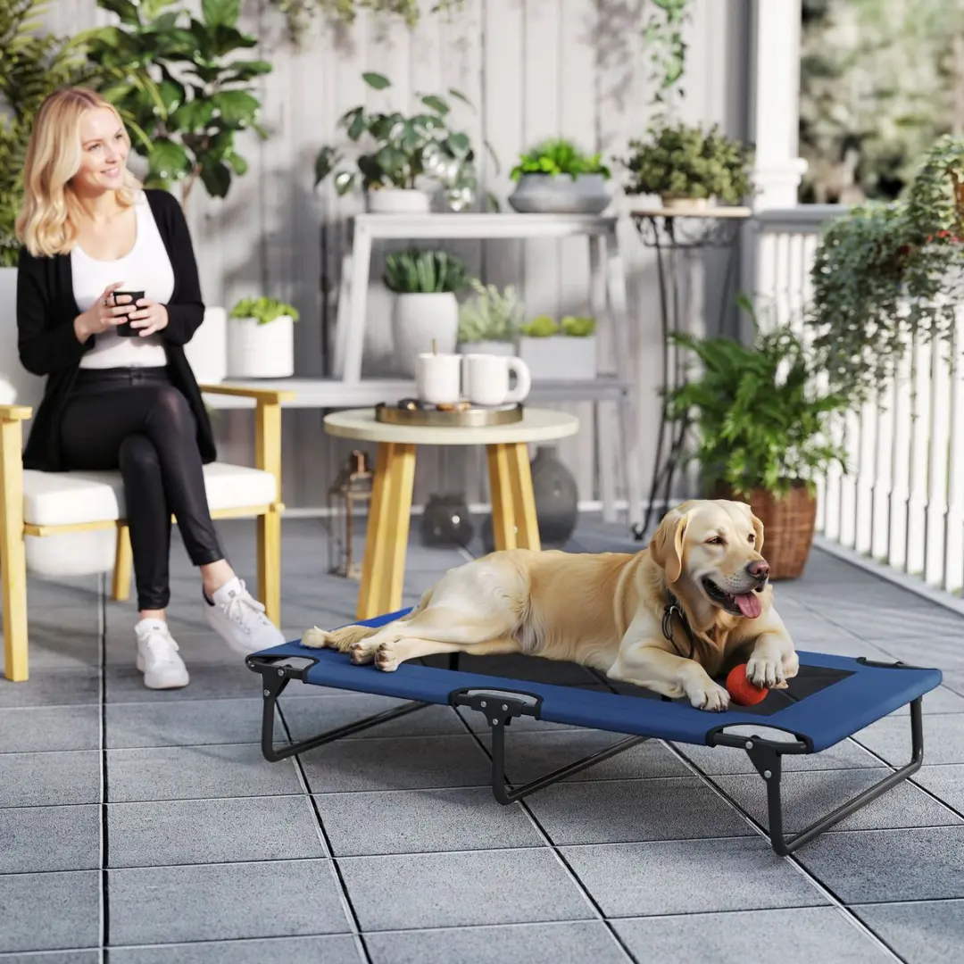 Pawhut Verhoogd Hondenbed 107x61x20cm - Blauw