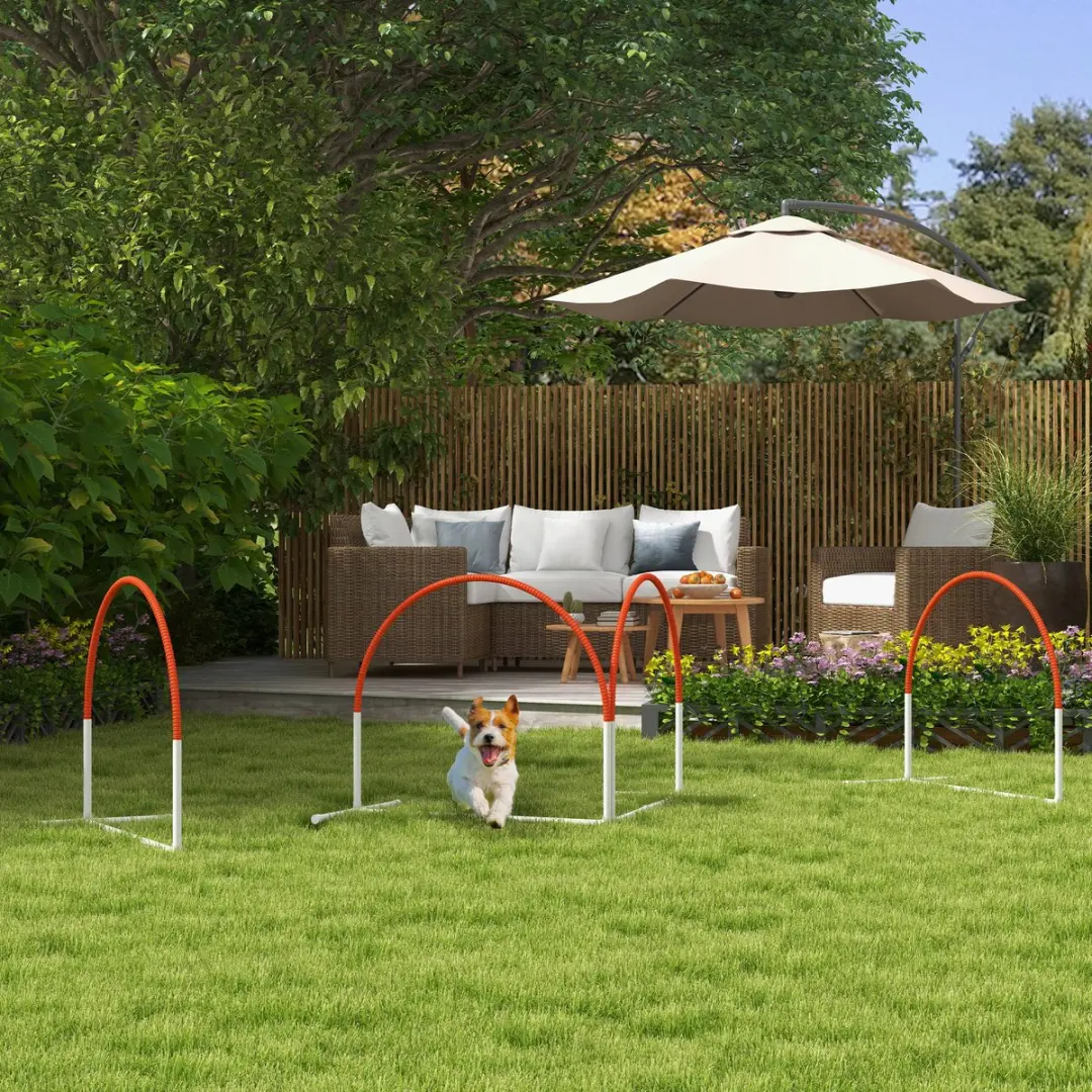 Pawhut Agility-set Honden - 4 Stuks - Oxfordstof - Wit/Orange
