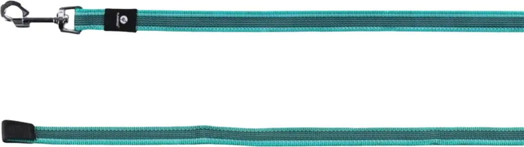 Flamingo Xeno Trainingslijn Honden 15m 20mm - Turquoise