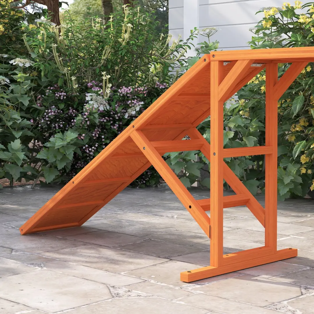 Pawhut Honden Agility Steg - 335x55x60cm - Orange
