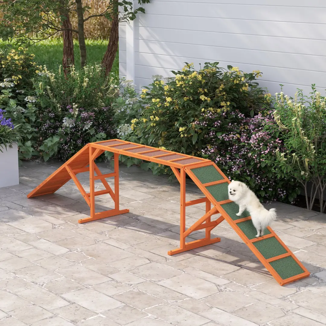 Pawhut Honden Agility Steg - 335x55x60cm - Orange