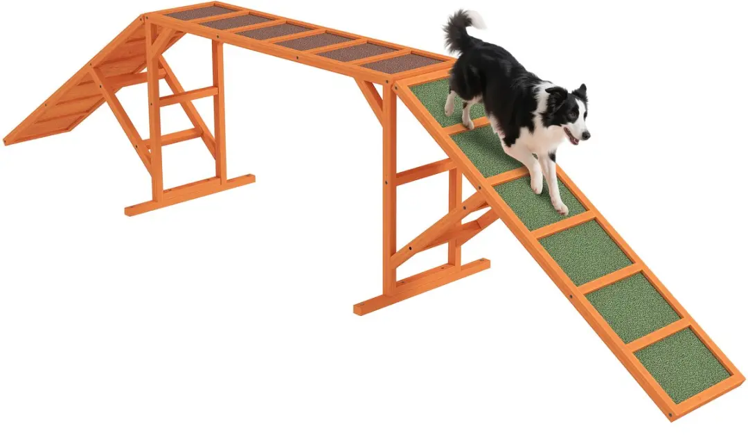 Pawhut Honden Agility Steg