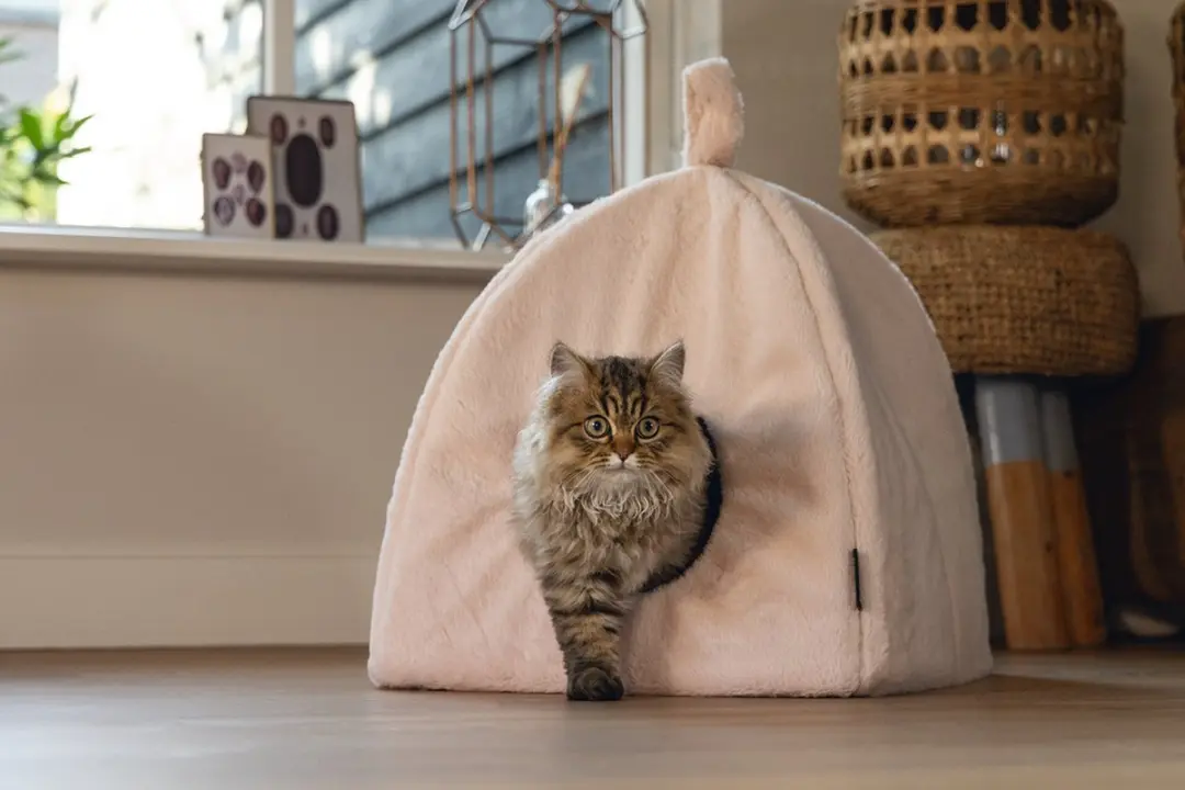 Beeztees Moza Kattenhuis Roze 40x40x40cm - afbeelding 6 van 6