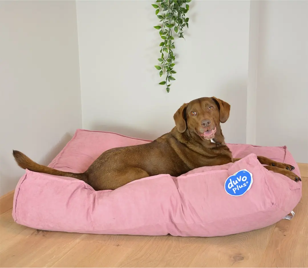 Duvo Dierenkussen Hond Velvet S Roze - 56x40x13cm