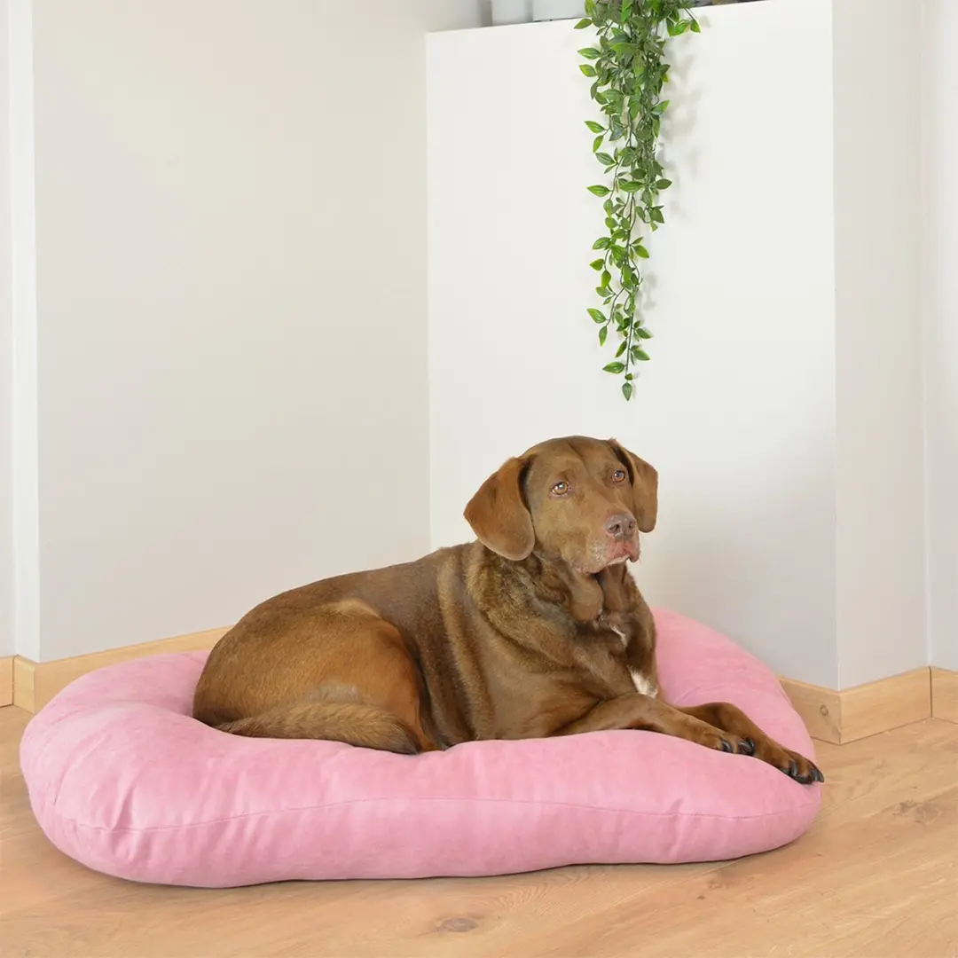 Duvo Dierenkussen Hond Ovaal Velvet S - 66x48x6cm Roze