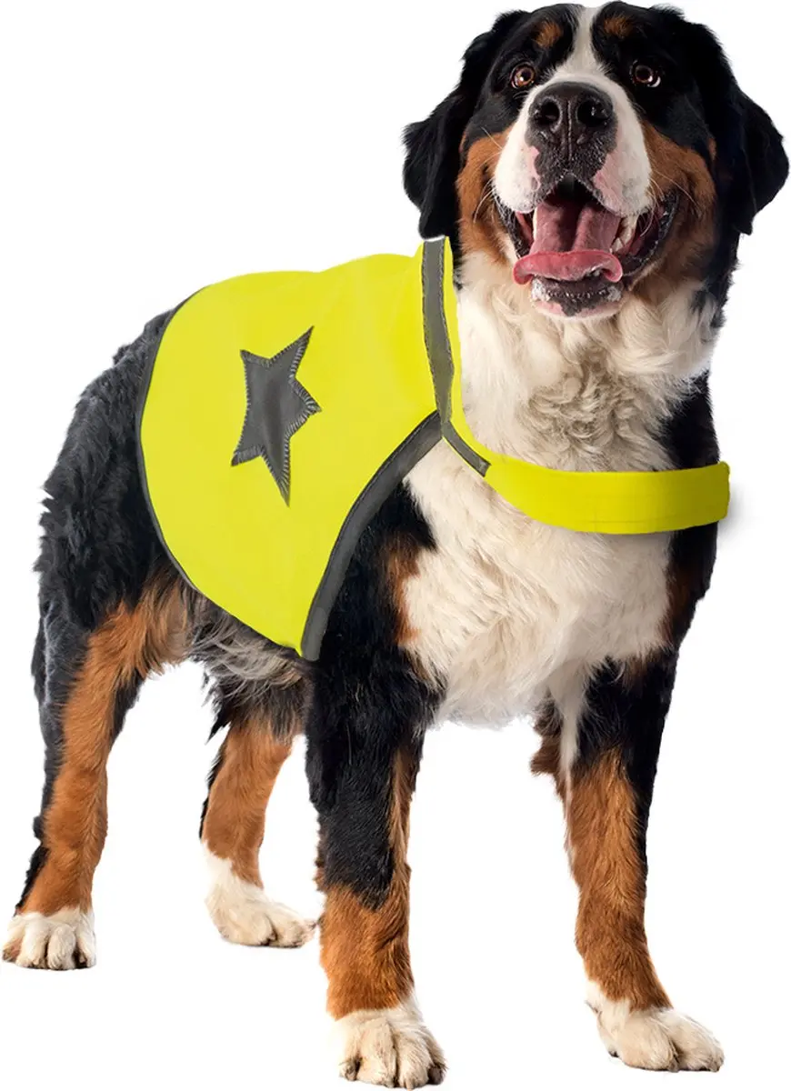 Duvo+ Veiligheidsjasje Neon Geel
