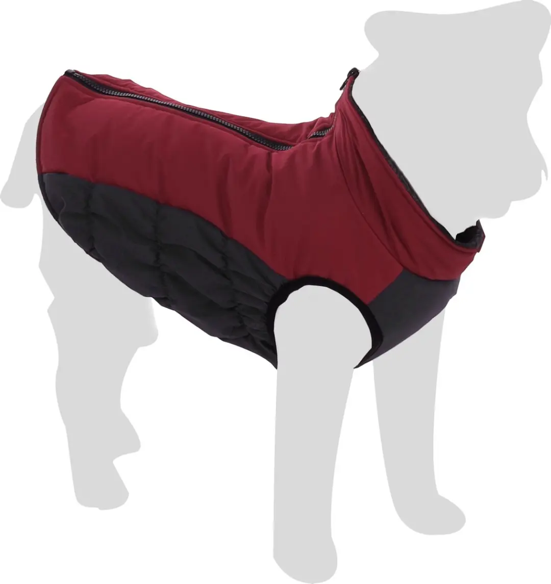 Flamingo Lima Winterjas Honden Bordeaux 30cm