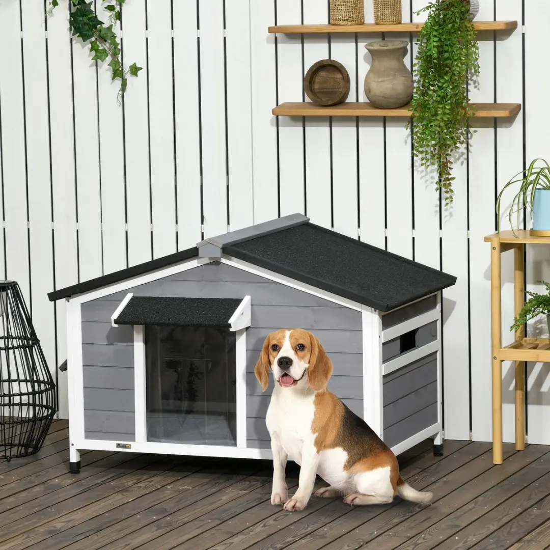 Pawhut Hundehütte D02-143V01 - 1 Verd.