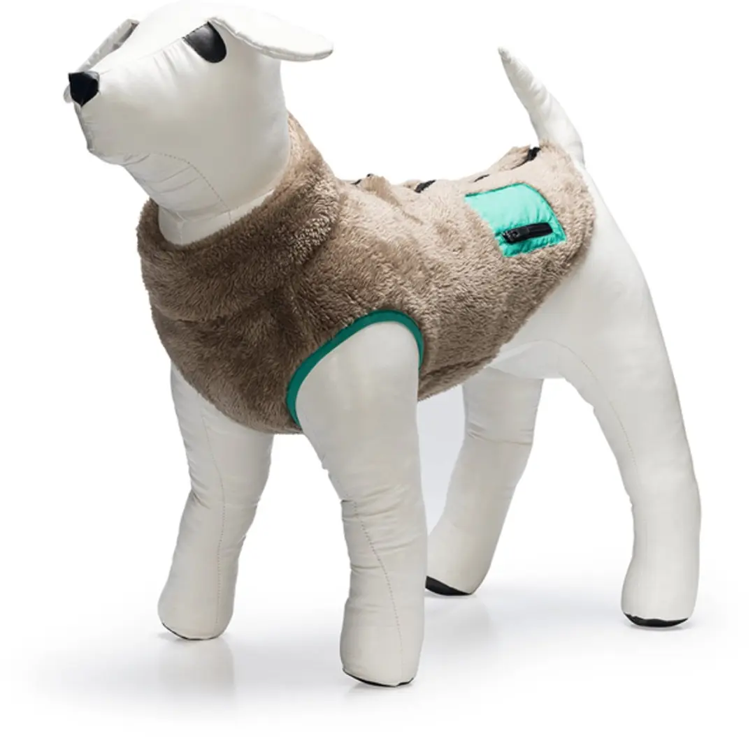 Beeztees Teddy