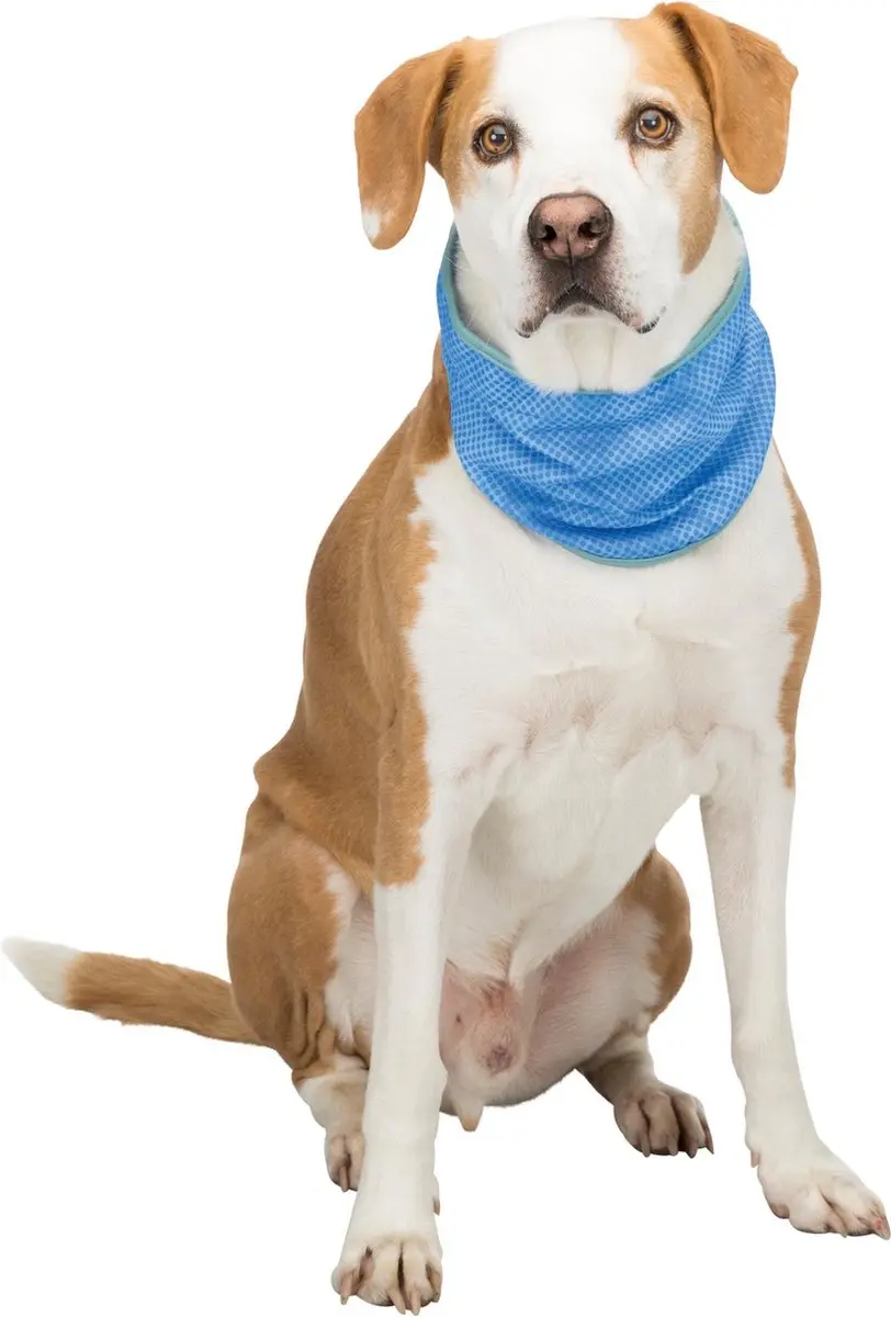 Trixie koel bandana pva blauw XL