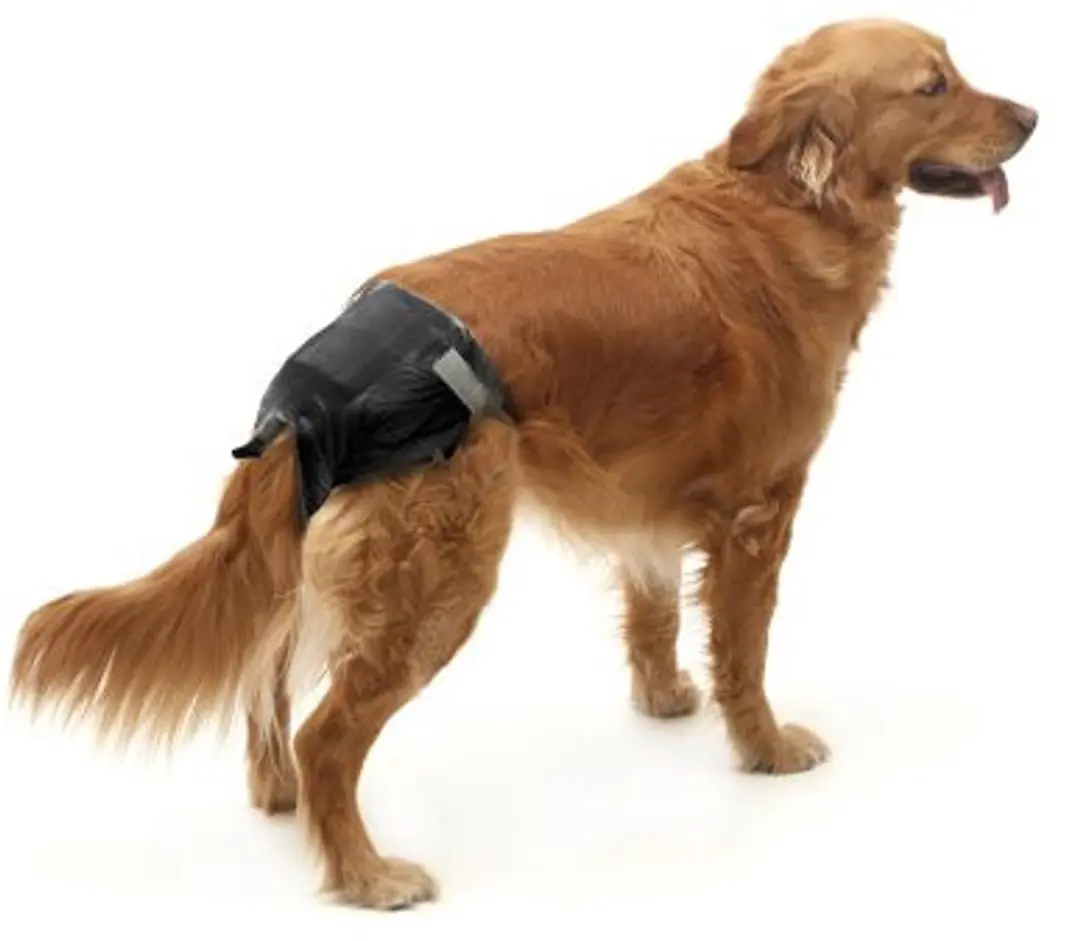 Savic Comfort Nappy Pamper Honden M2 - 12 Stuks - Zwart