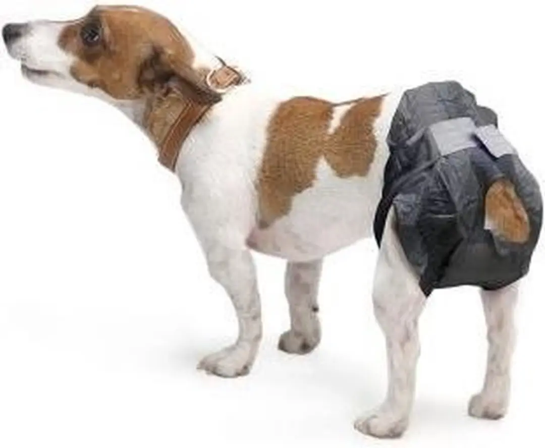 Savic Comfort Nappy Pamper Honden M2 - 12 Stuks - Zwart - afbeelding 6 van 6