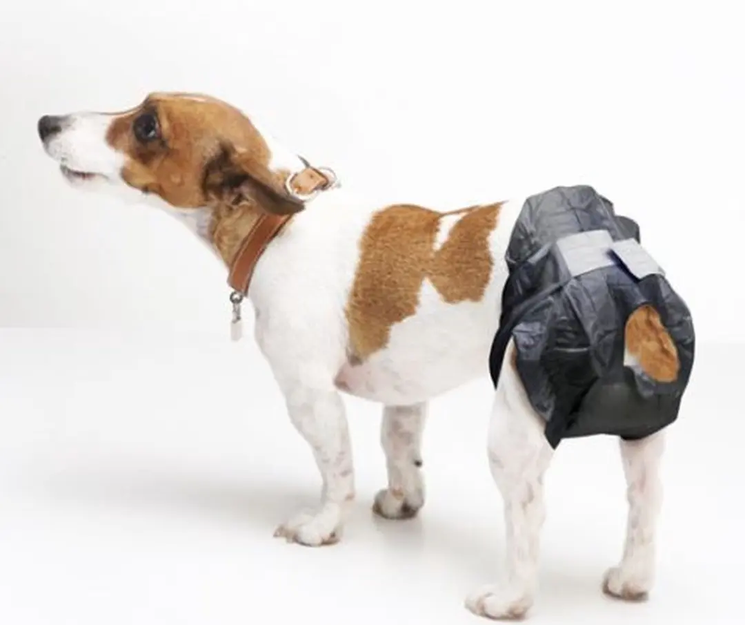 Savic Comfort Nappy Pamper Honden M2 - 12 Stuks - Zwart