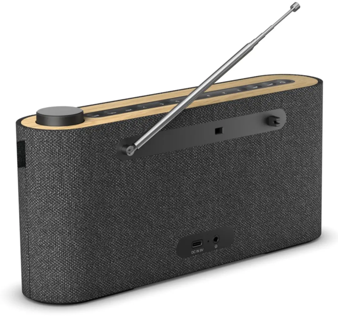 Loewe Radio.frequency DAB+ FM Bluetooth - 62620D10 Zwart/Goud