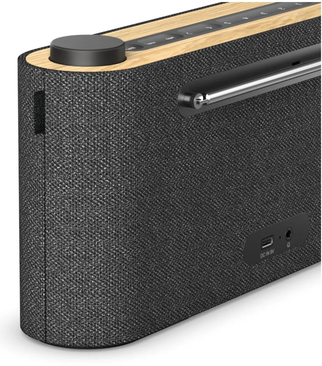 Loewe Radio.frequency DAB+ FM Bluetooth - 62620D10 Zwart/Goud