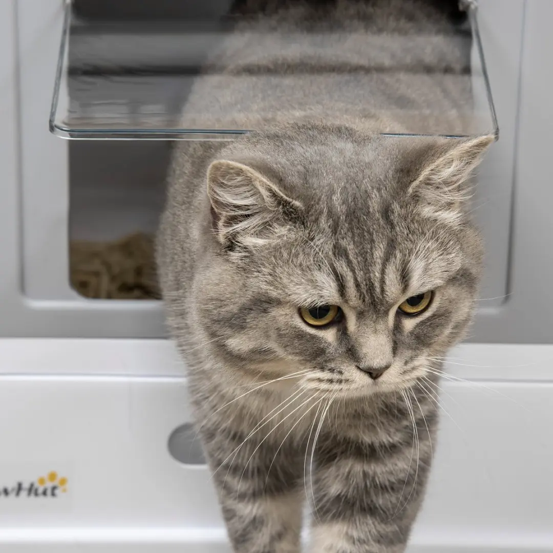 Pawhut Kattenbak met Uitschuifbare Lade D31-061V00