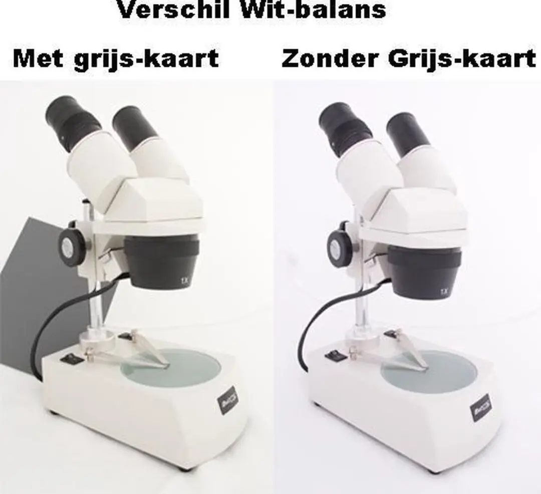 Falcon Eyes Grijskaarten A5 & 10x15cm - 2 Stuks