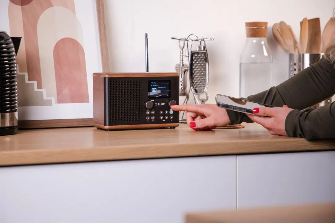 Pure Classic H4 Draagbare Digitale Radio - 10W - Koffiezwart/Walnoot