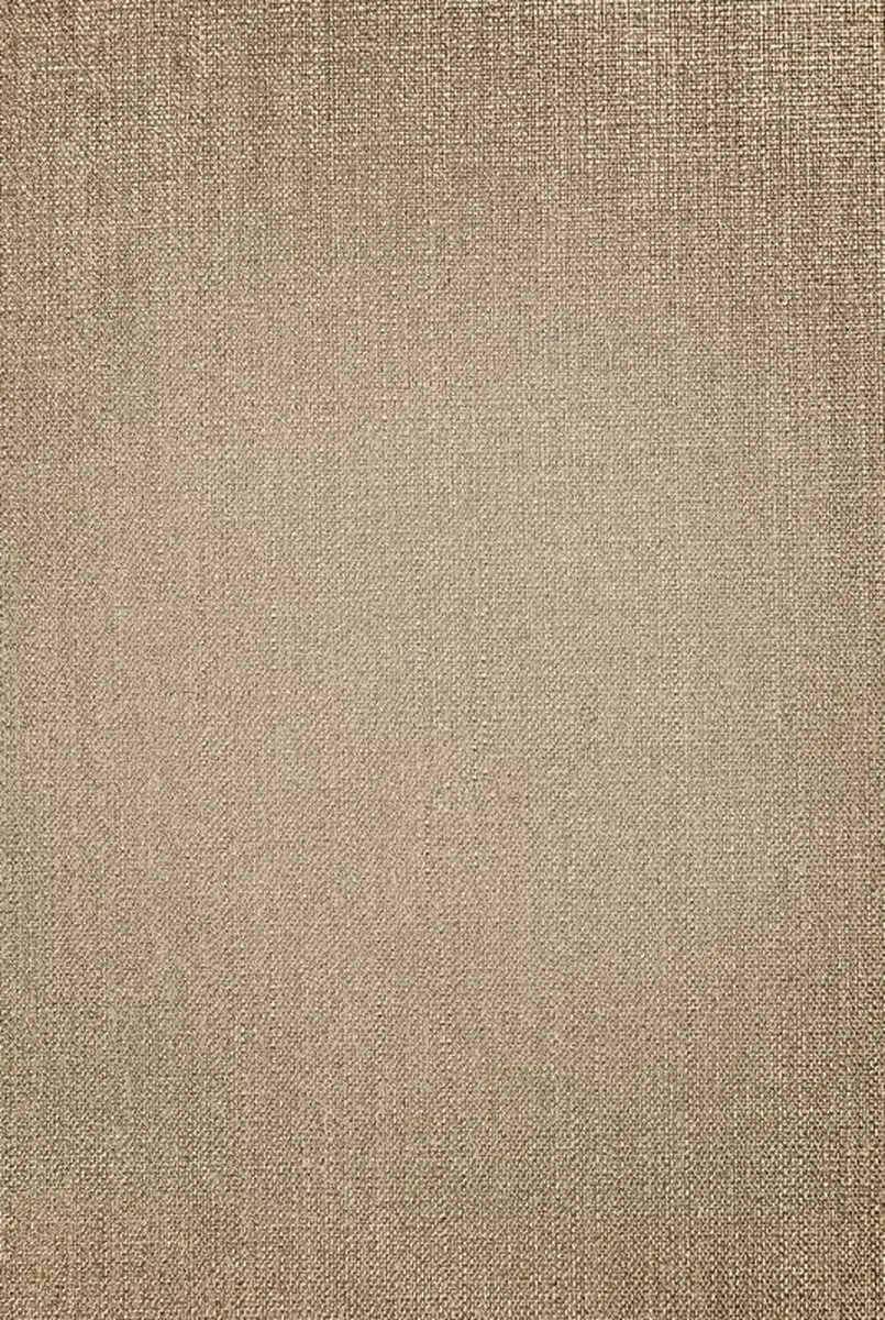 Bresser Achtergronddoek 80x120cm