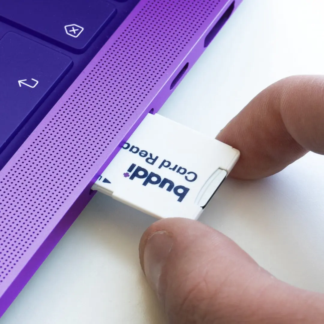 Buddi MicroSDXC 256GB Geheugenkaart - Wit