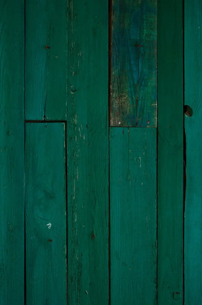 Bresser Backdrop Green Wood 60x90cm