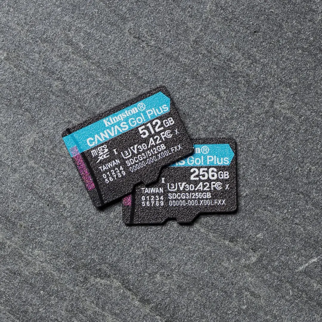 Kingston SDCG3/256GB Geheugenkaart - 256GB