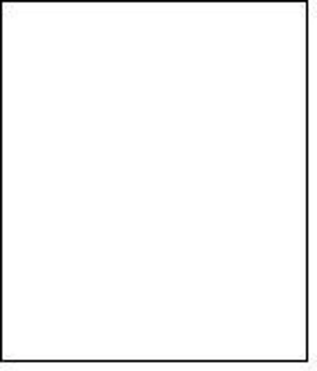 Falcon Eyes Achtergrondpapier 2963001