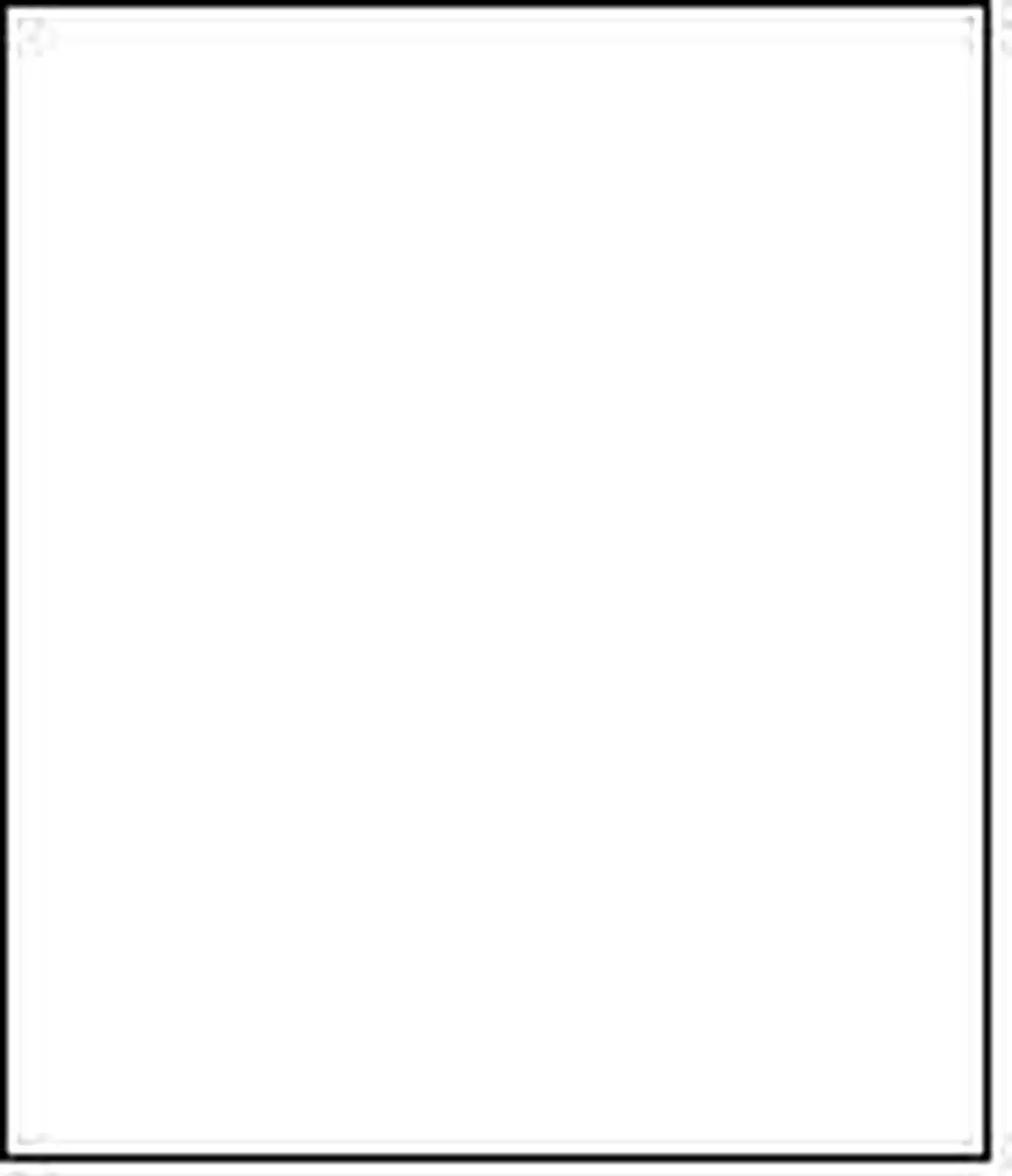 Falcon Eyes Achtergrondpapier 2963001 - 1,35x11m - Wit