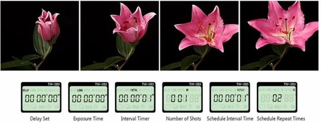 Pixel TW-283/E3 Draadloze Timer - Canon - afbeelding 3 van 6