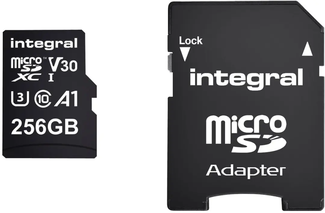 Integral INMSDX256G-100V30 Geheugenkaart 256GB