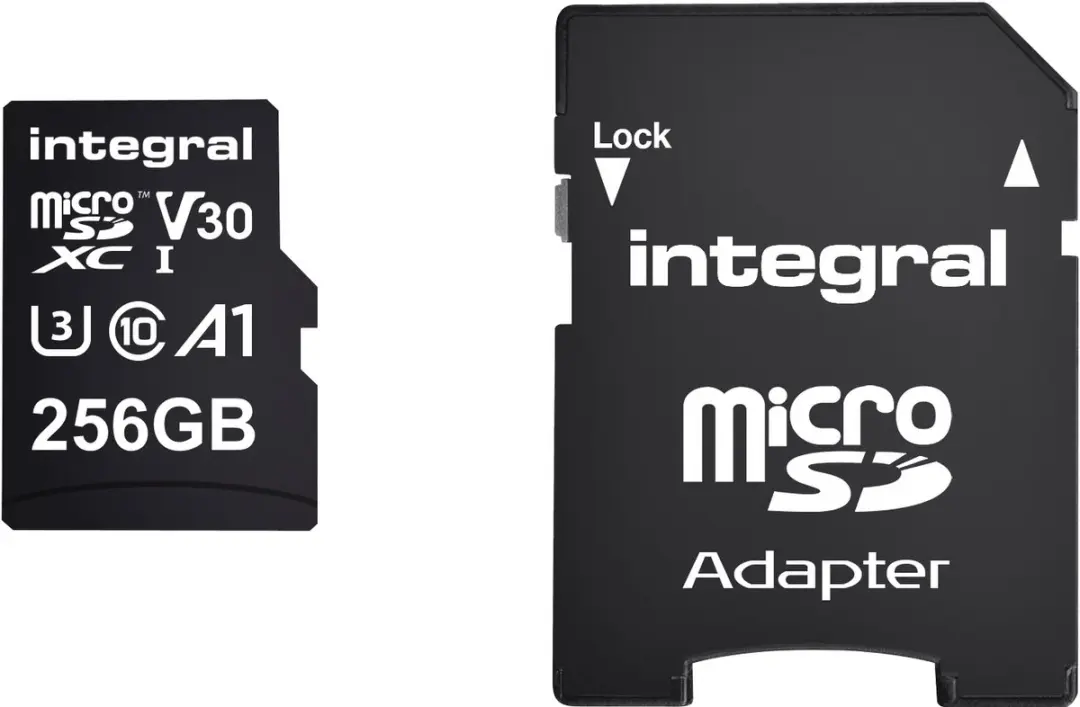 Integral INMSDX256G-100V30 Geheugenkaart 256GB