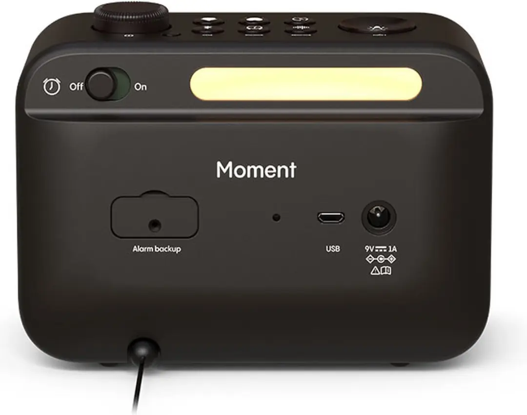 Pure Moment 30101 Draagbare Analoog Radio - 5W - Zwart