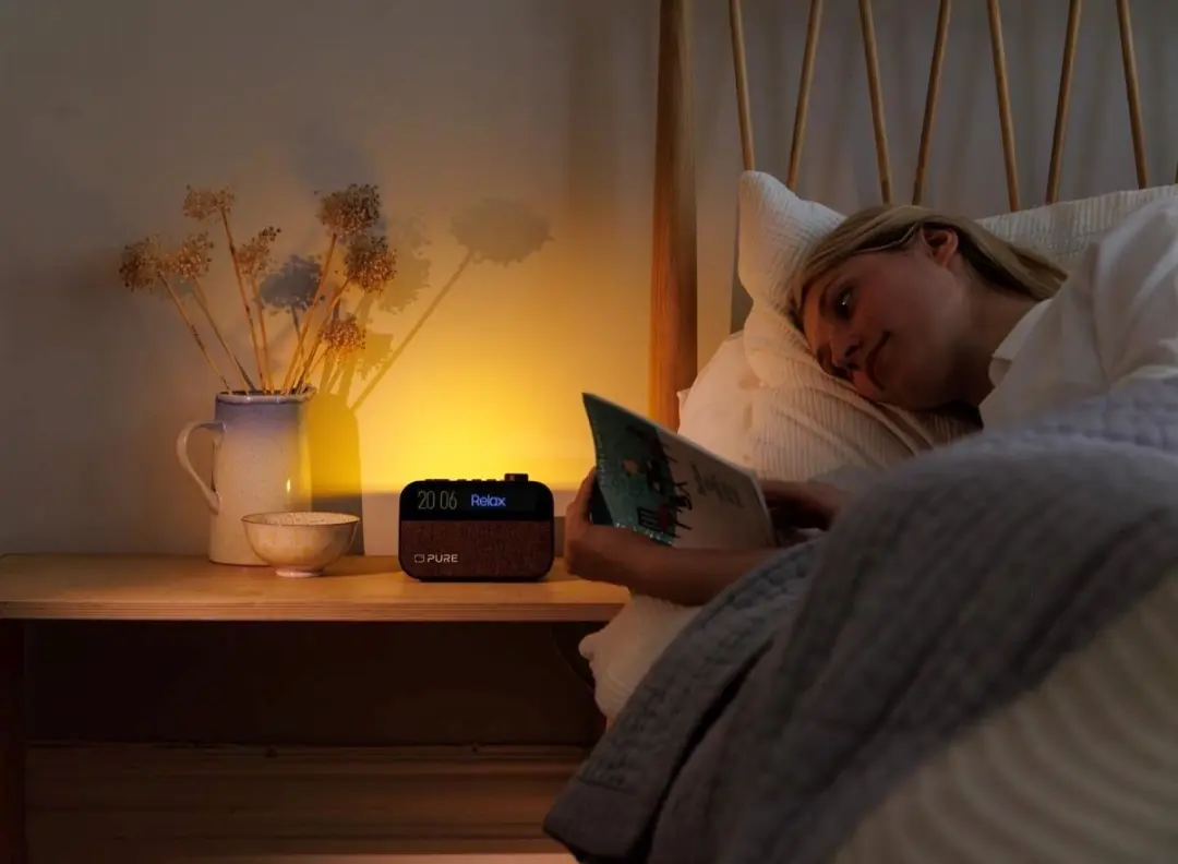 Pure Moment 30101 Draagbare Analoog Radio - 5W - Zwart
