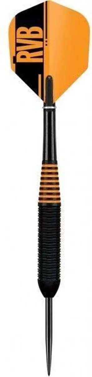 Target Raymond van Barneveld Black Brass Dartpijlen 22g