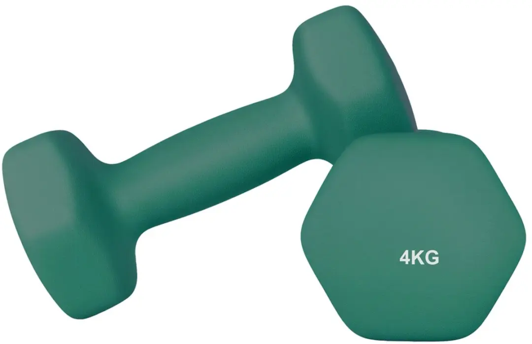 Songmics Dumbbells Set 2x4kg